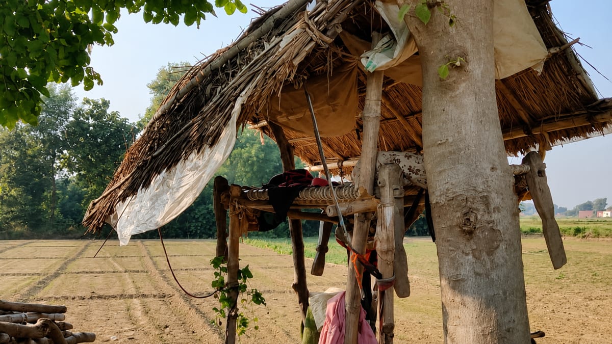 Machan & Farming Culture