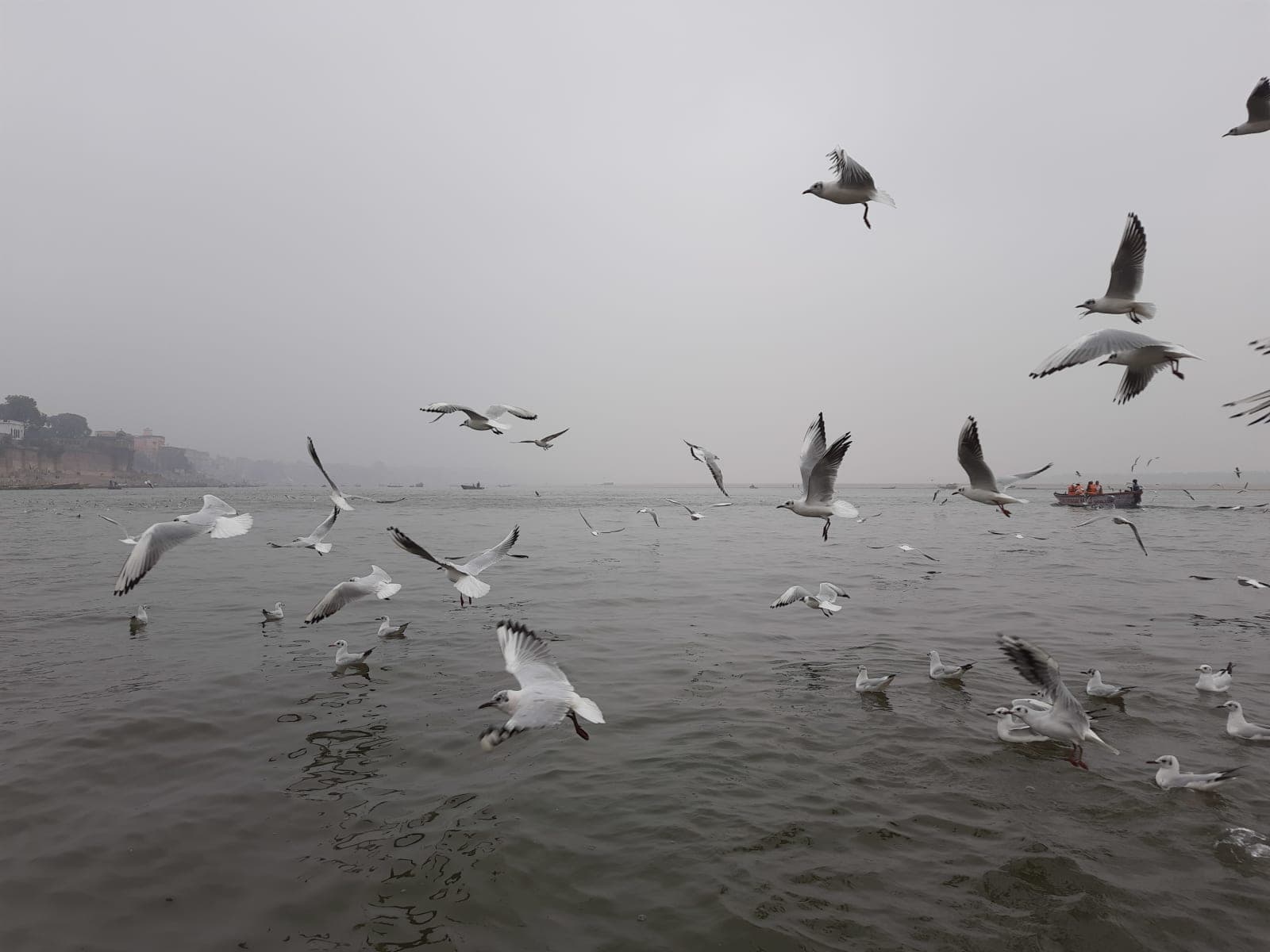 Assi Ghat