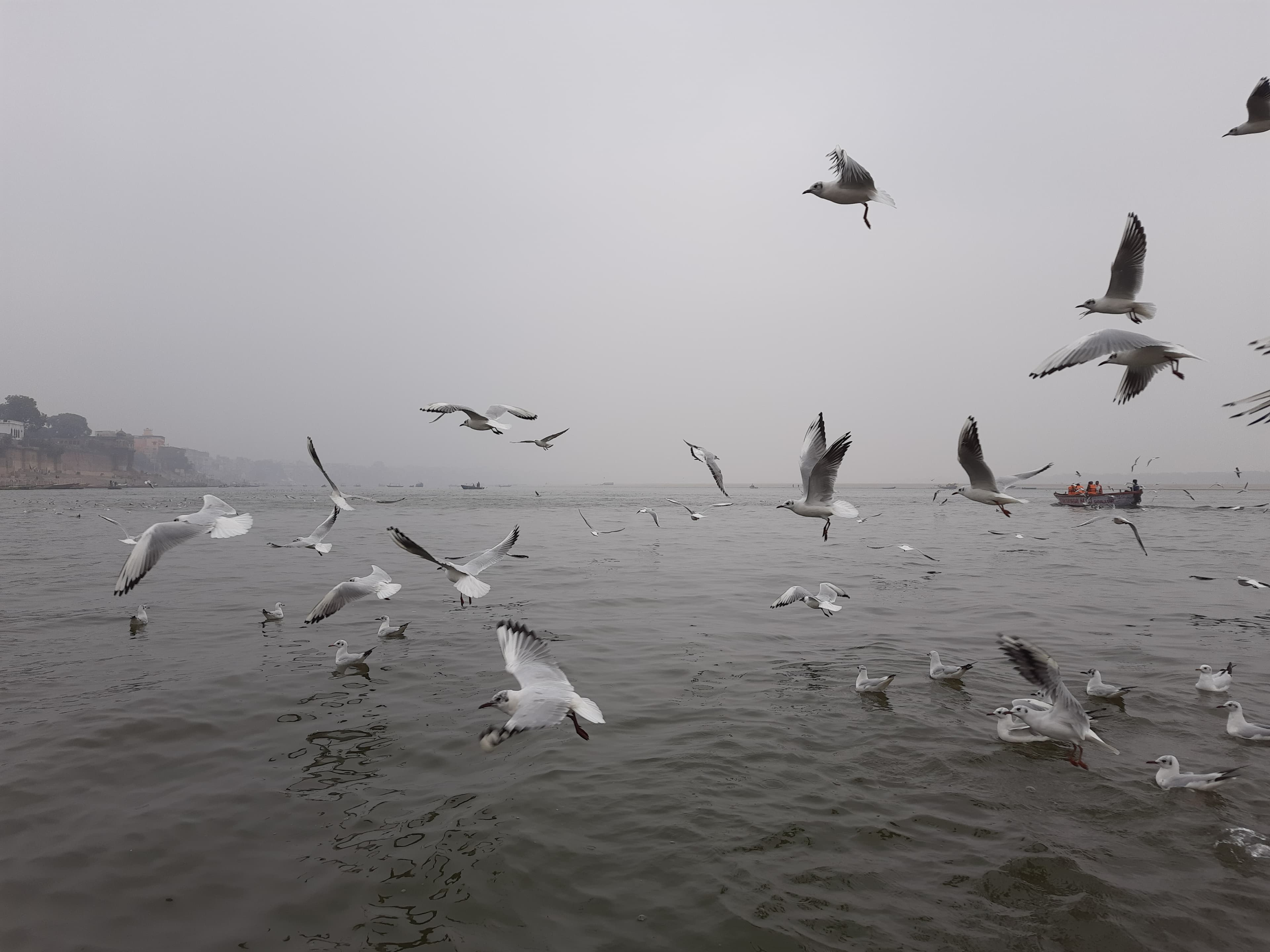 Assi Ghat Varanasi 1