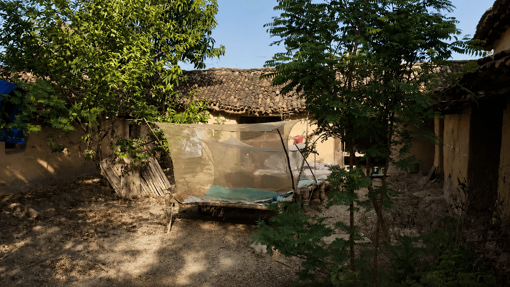 Village Tour in Varanasi: Experience the Real Life of Rural India
